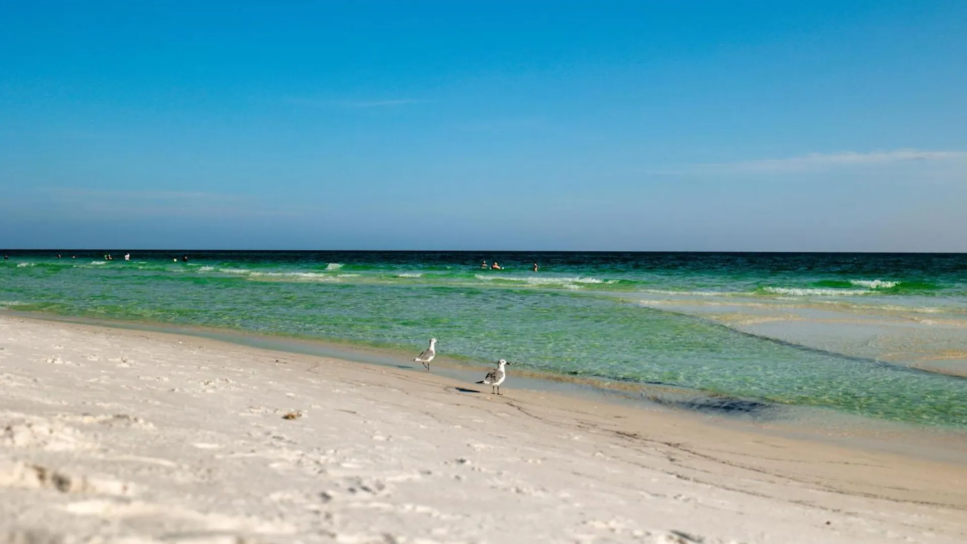 H2O Living Villa Destin 0*,  United States